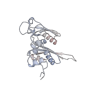 16729_8cmj_f_v1-5
Translocation intermediate 4 (TI-4*) of 80S S. cerevisiae ribosome with eEF2 in the absence of sordarin
