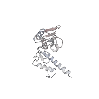 16729_8cmj_g_v1-5
Translocation intermediate 4 (TI-4*) of 80S S. cerevisiae ribosome with eEF2 in the absence of sordarin