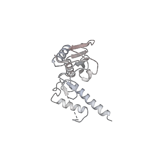 16729_8cmj_g_v1-6
Translocation intermediate 4 (TI-4*) of 80S S. cerevisiae ribosome with eEF2 in the absence of sordarin