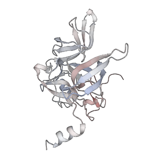 16729_8cmj_h_v1-5
Translocation intermediate 4 (TI-4*) of 80S S. cerevisiae ribosome with eEF2 in the absence of sordarin