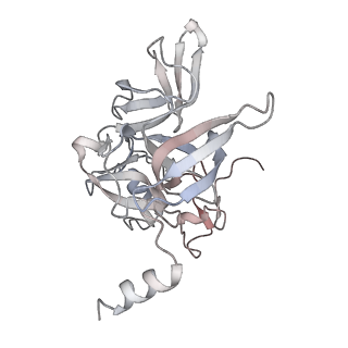 16729_8cmj_h_v1-6
Translocation intermediate 4 (TI-4*) of 80S S. cerevisiae ribosome with eEF2 in the absence of sordarin