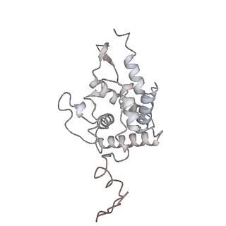 16729_8cmj_i_v1-5
Translocation intermediate 4 (TI-4*) of 80S S. cerevisiae ribosome with eEF2 in the absence of sordarin