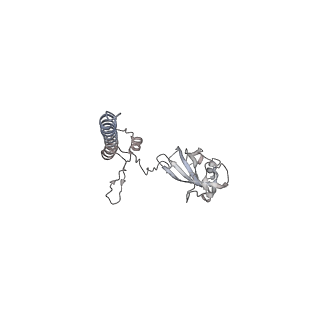 16729_8cmj_j_v1-6
Translocation intermediate 4 (TI-4*) of 80S S. cerevisiae ribosome with eEF2 in the absence of sordarin