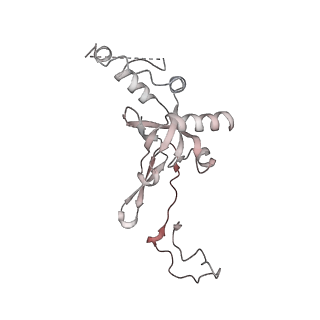 16729_8cmj_l_v1-5
Translocation intermediate 4 (TI-4*) of 80S S. cerevisiae ribosome with eEF2 in the absence of sordarin