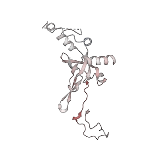 16729_8cmj_l_v1-6
Translocation intermediate 4 (TI-4*) of 80S S. cerevisiae ribosome with eEF2 in the absence of sordarin