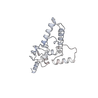 16729_8cmj_m_v1-5
Translocation intermediate 4 (TI-4*) of 80S S. cerevisiae ribosome with eEF2 in the absence of sordarin