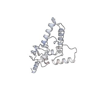 16729_8cmj_m_v1-6
Translocation intermediate 4 (TI-4*) of 80S S. cerevisiae ribosome with eEF2 in the absence of sordarin