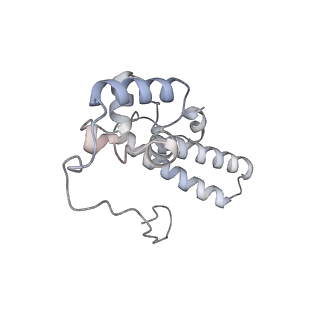 16729_8cmj_p_v1-5
Translocation intermediate 4 (TI-4*) of 80S S. cerevisiae ribosome with eEF2 in the absence of sordarin