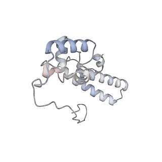 16729_8cmj_p_v1-6
Translocation intermediate 4 (TI-4*) of 80S S. cerevisiae ribosome with eEF2 in the absence of sordarin