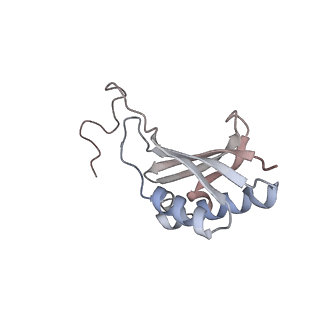 16729_8cmj_q_v1-5
Translocation intermediate 4 (TI-4*) of 80S S. cerevisiae ribosome with eEF2 in the absence of sordarin