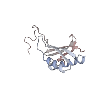 16729_8cmj_q_v1-6
Translocation intermediate 4 (TI-4*) of 80S S. cerevisiae ribosome with eEF2 in the absence of sordarin