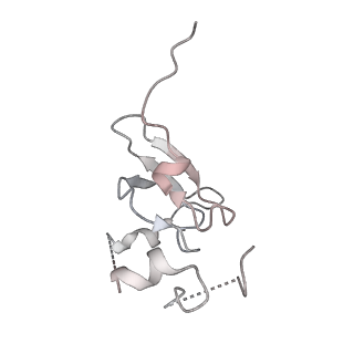 16729_8cmj_r_v1-6
Translocation intermediate 4 (TI-4*) of 80S S. cerevisiae ribosome with eEF2 in the absence of sordarin