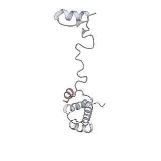 16729_8cmj_t_v1-5
Translocation intermediate 4 (TI-4*) of 80S S. cerevisiae ribosome with eEF2 in the absence of sordarin