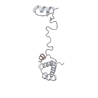 16729_8cmj_t_v1-6
Translocation intermediate 4 (TI-4*) of 80S S. cerevisiae ribosome with eEF2 in the absence of sordarin