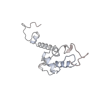 16729_8cmj_u_v1-5
Translocation intermediate 4 (TI-4*) of 80S S. cerevisiae ribosome with eEF2 in the absence of sordarin