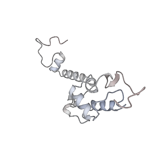 16729_8cmj_u_v1-6
Translocation intermediate 4 (TI-4*) of 80S S. cerevisiae ribosome with eEF2 in the absence of sordarin