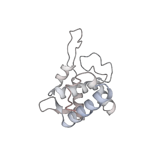 16729_8cmj_v_v1-5
Translocation intermediate 4 (TI-4*) of 80S S. cerevisiae ribosome with eEF2 in the absence of sordarin
