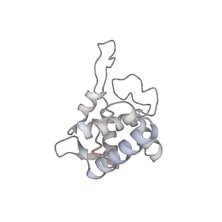 16729_8cmj_v_v1-6
Translocation intermediate 4 (TI-4*) of 80S S. cerevisiae ribosome with eEF2 in the absence of sordarin