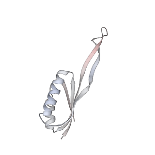 16729_8cmj_w_v1-6
Translocation intermediate 4 (TI-4*) of 80S S. cerevisiae ribosome with eEF2 in the absence of sordarin