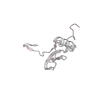 16729_8cmj_x_v1-6
Translocation intermediate 4 (TI-4*) of 80S S. cerevisiae ribosome with eEF2 in the absence of sordarin