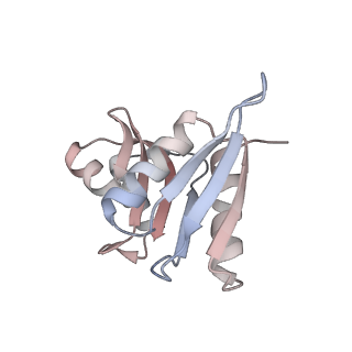 16729_8cmj_y_v1-5
Translocation intermediate 4 (TI-4*) of 80S S. cerevisiae ribosome with eEF2 in the absence of sordarin