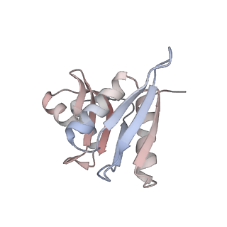 16729_8cmj_y_v1-6
Translocation intermediate 4 (TI-4*) of 80S S. cerevisiae ribosome with eEF2 in the absence of sordarin