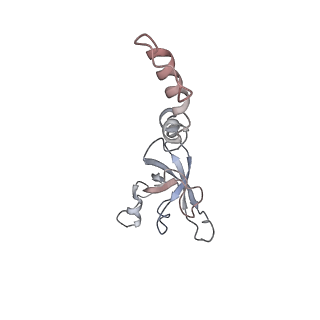 16729_8cmj_z_v1-6
Translocation intermediate 4 (TI-4*) of 80S S. cerevisiae ribosome with eEF2 in the absence of sordarin