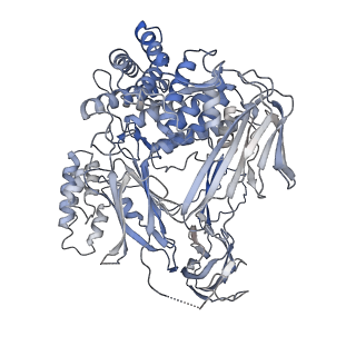 16730_8cml_B_v1-0
Cryo-EM structure of complement C5 in complex with nanobodies UNbC5-1 and UNbC5-2