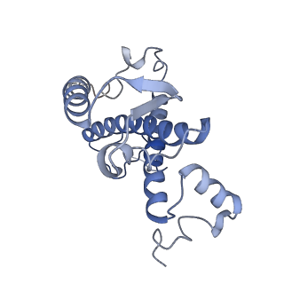 16732_8cmo_1_v1-0
Cryo-EM structure of the Photosystem I - LHCI supercomplex from Coelastrella sp.