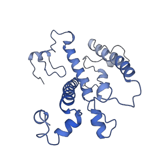 16732_8cmo_3_v1-0
Cryo-EM structure of the Photosystem I - LHCI supercomplex from Coelastrella sp.