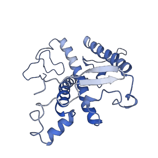 16732_8cmo_5_v1-0
Cryo-EM structure of the Photosystem I - LHCI supercomplex from Coelastrella sp.