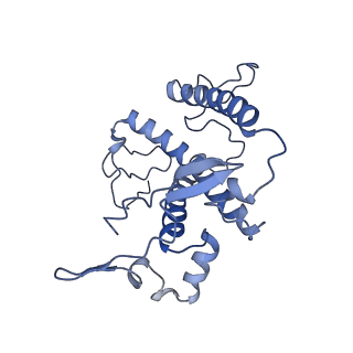 16732_8cmo_6_v1-0
Cryo-EM structure of the Photosystem I - LHCI supercomplex from Coelastrella sp.