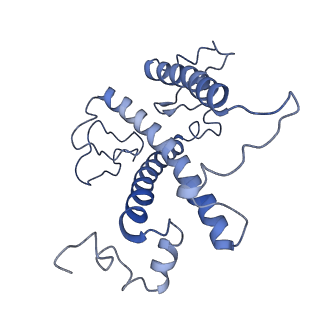 16732_8cmo_7_v1-0
Cryo-EM structure of the Photosystem I - LHCI supercomplex from Coelastrella sp.