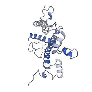 16732_8cmo_8_v1-0
Cryo-EM structure of the Photosystem I - LHCI supercomplex from Coelastrella sp.