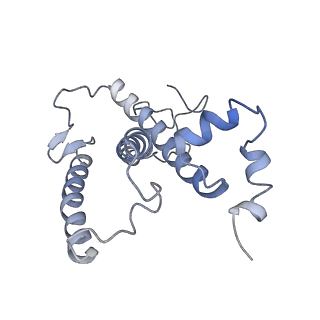 16732_8cmo_9_v1-0
Cryo-EM structure of the Photosystem I - LHCI supercomplex from Coelastrella sp.