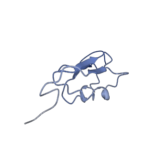 16732_8cmo_C_v1-0
Cryo-EM structure of the Photosystem I - LHCI supercomplex from Coelastrella sp.