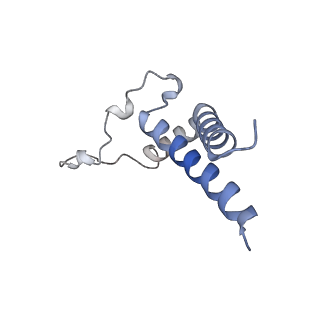 16732_8cmo_G_v1-0
Cryo-EM structure of the Photosystem I - LHCI supercomplex from Coelastrella sp.