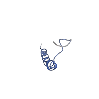 16732_8cmo_I_v1-0
Cryo-EM structure of the Photosystem I - LHCI supercomplex from Coelastrella sp.