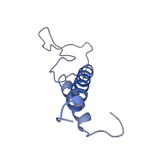 16732_8cmo_K_v1-0
Cryo-EM structure of the Photosystem I - LHCI supercomplex from Coelastrella sp.