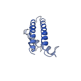 16732_8cmo_L_v1-0
Cryo-EM structure of the Photosystem I - LHCI supercomplex from Coelastrella sp.