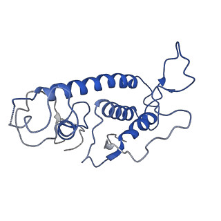 30400_7cm3_B_v1-1
Cryo-EM structure of human NALCN in complex with FAM155A
