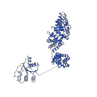 30401_7cm5_C_v1-3
Full-length Sarm1 in a self-inhibited state