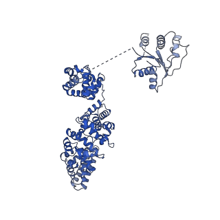 30401_7cm5_G_v1-3
Full-length Sarm1 in a self-inhibited state