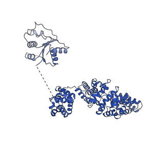 30402_7cm6_A_v1-3
NAD+-bound Sarm1 in the self-inhibited state