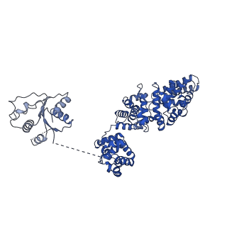 30402_7cm6_B_v1-3
NAD+-bound Sarm1 in the self-inhibited state