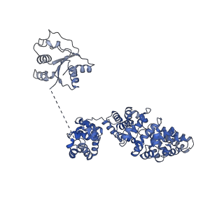 30403_7cm7_A_v1-3
NAD+-bound Sarm1 E642A in the self-inhibited state