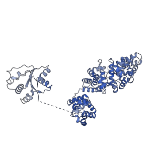 30403_7cm7_B_v1-3
NAD+-bound Sarm1 E642A in the self-inhibited state