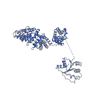 30403_7cm7_E_v1-3
NAD+-bound Sarm1 E642A in the self-inhibited state