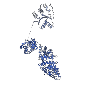 30403_7cm7_H_v1-3
NAD+-bound Sarm1 E642A in the self-inhibited state