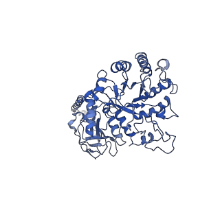 30406_7cmh_A_v1-0
The LAT2-4F2hc complex in complex with tryptophan